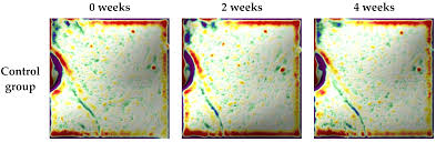 Collagen Oral Film