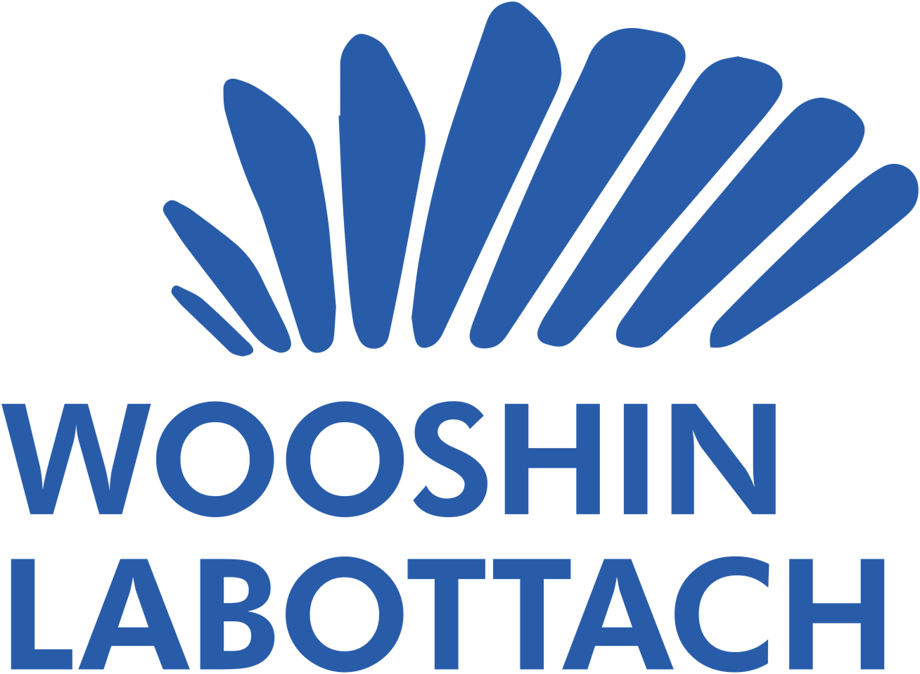 Wooshin Labottach
